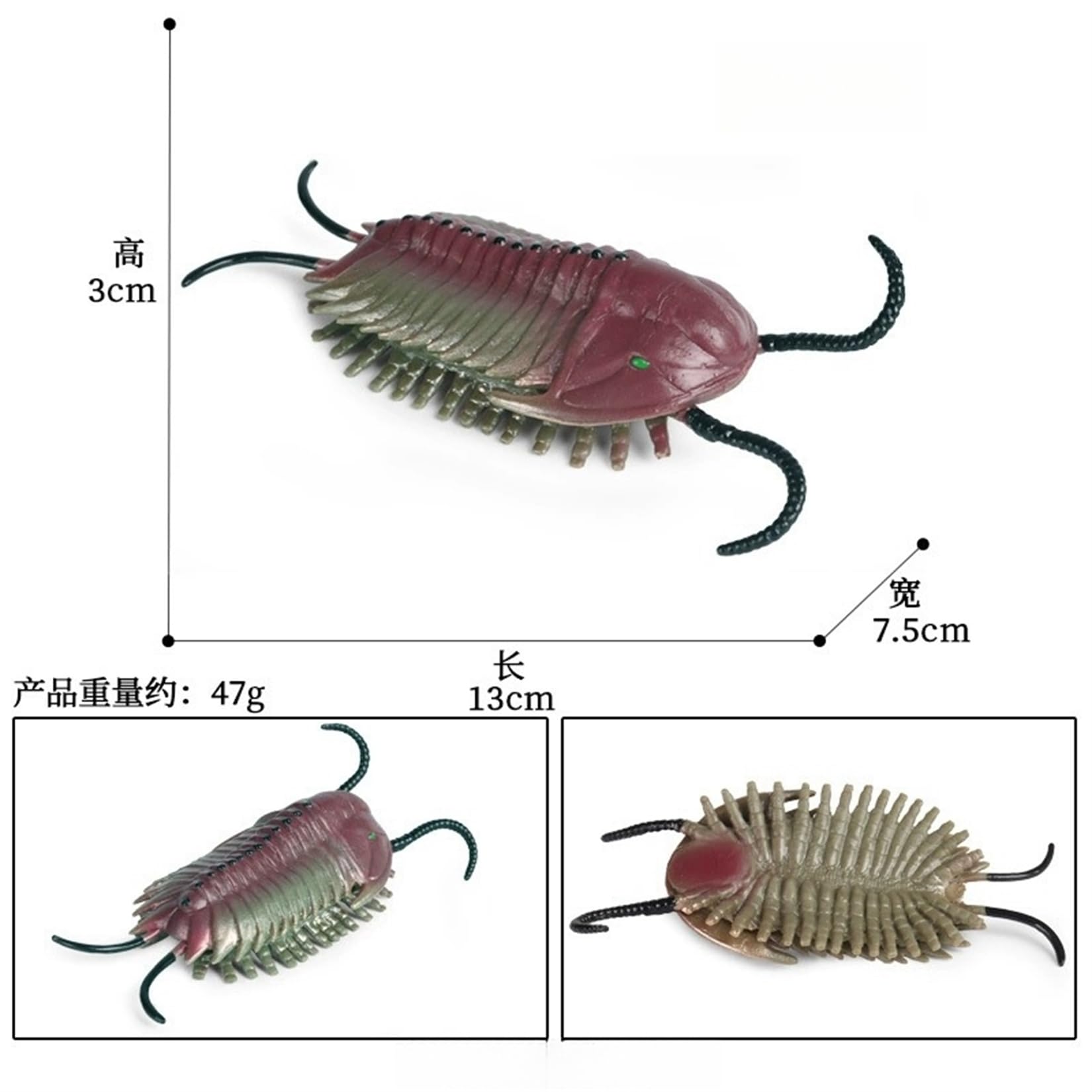 三葉虫 フィギュア Amazon.co.jp: 三葉虫モデル、誕生日プレゼント古代動物